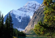 南京殡葬联系咨询